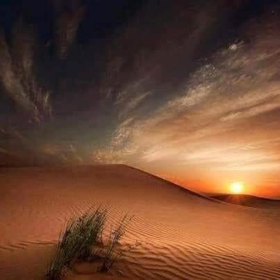 Sahara Riad *